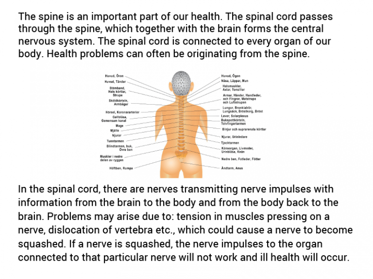Step 10 The health of your spine Be Younger